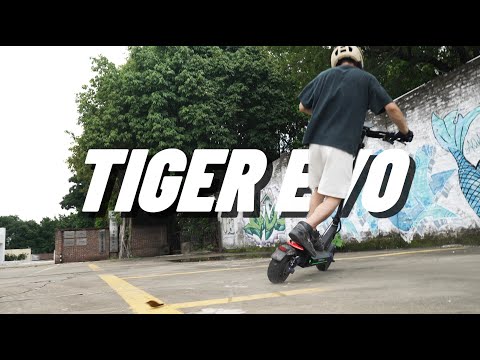Tiger EVO