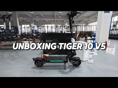 Tiger 10 V5